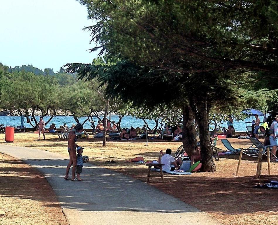 Apartman Ema Novigrad Istria Eksteriør bilde